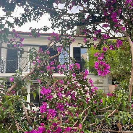 别墅 Luxury With Pool And Garden Perfect Location 滨海博利厄